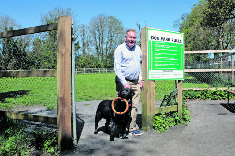 Ruddle calls for upgrade of Newcastle West town square