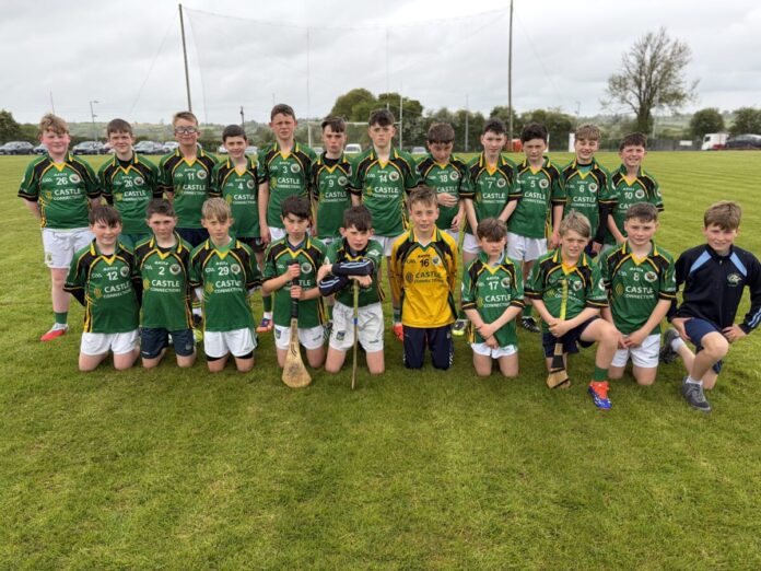 Lisnagry Hurling 2026