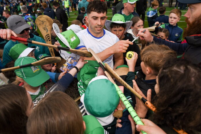 Limerick v Waterford - Munster GAA Hurling Senior Championship Round 5