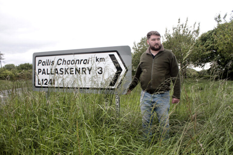 TII putting the birds and bees before road safety, councillor claims