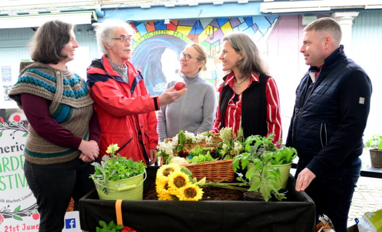Get the garden know-how at Limerick Garden Festival